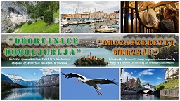ZAKLJUČEK ŠOLSKEGA LETA V ZNAMENJU DOMOLJUBLJA  – A HAZASZERETET MORZSÁI
