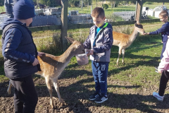 Naravoslovni dan 2.r 2022